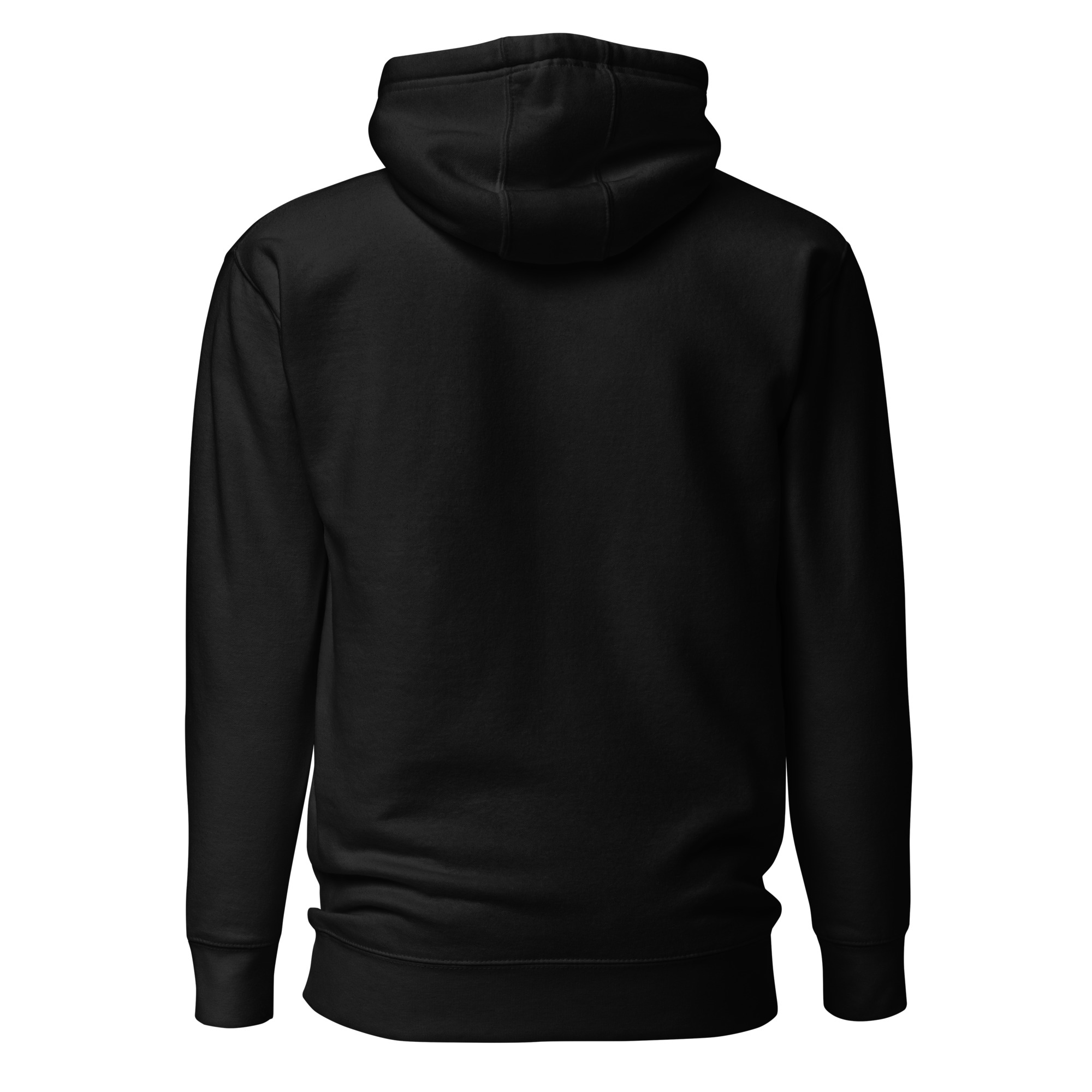unisex-premium-hoodie-black-back-6634e8f6d1c17.jpg